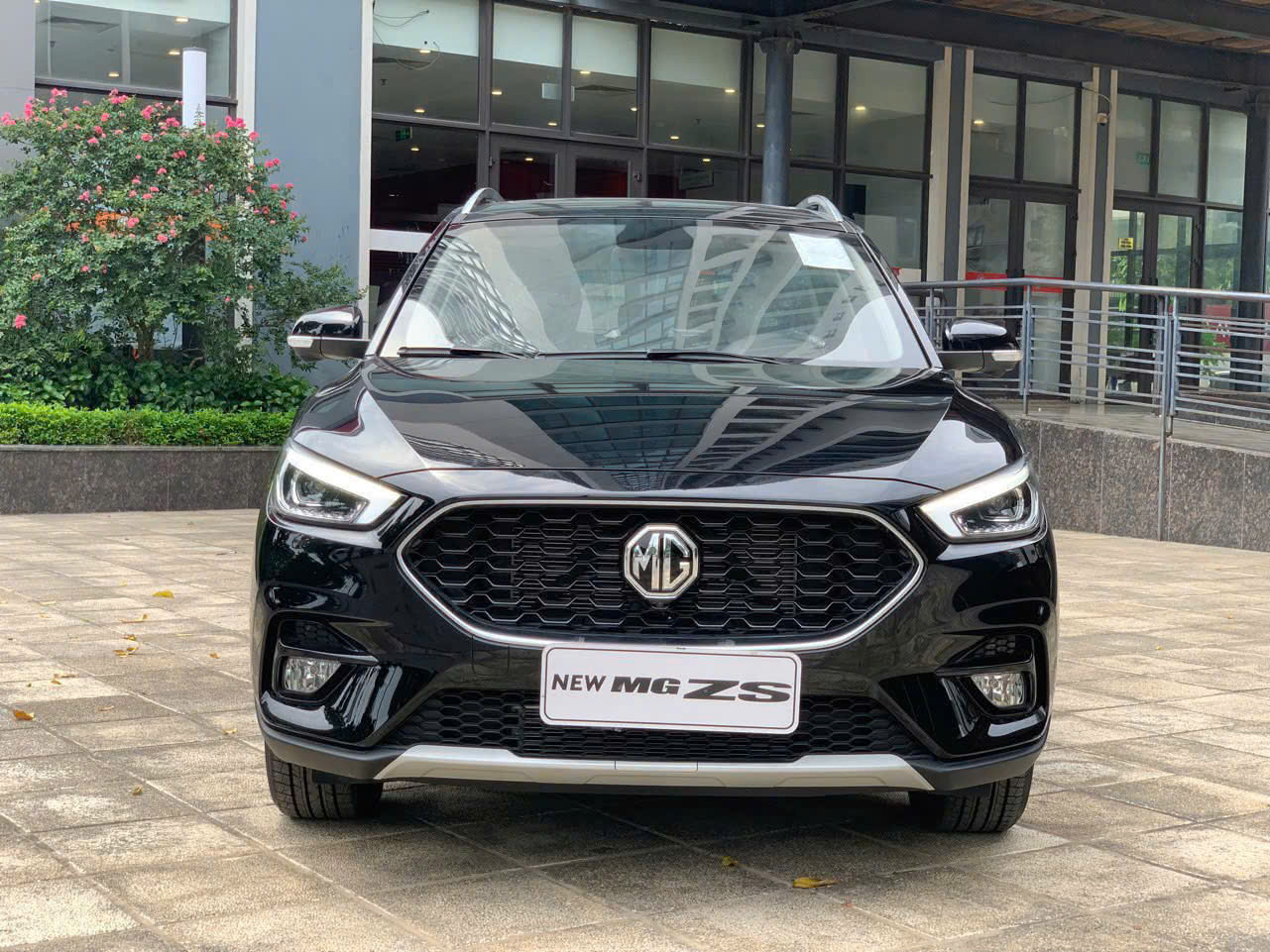 giá lăn bánh xe mg zs