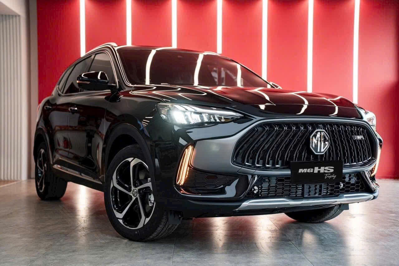 giá lăn bánh xe mg hs